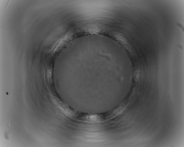 X0000101700365200807101542