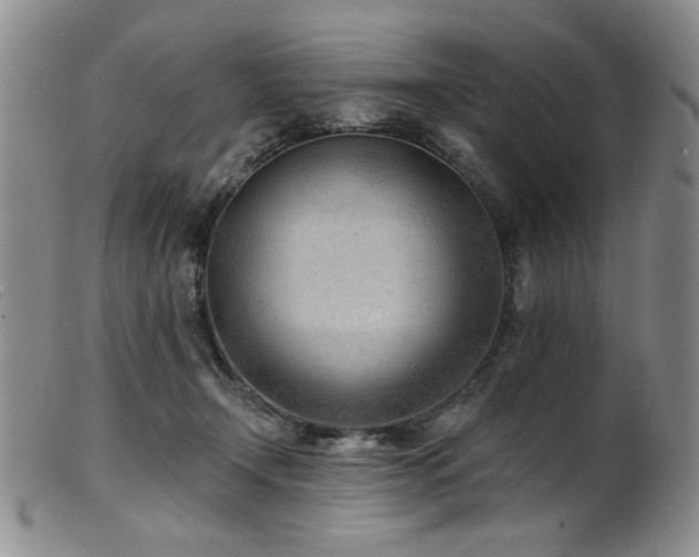 X0000101700366200807101542
