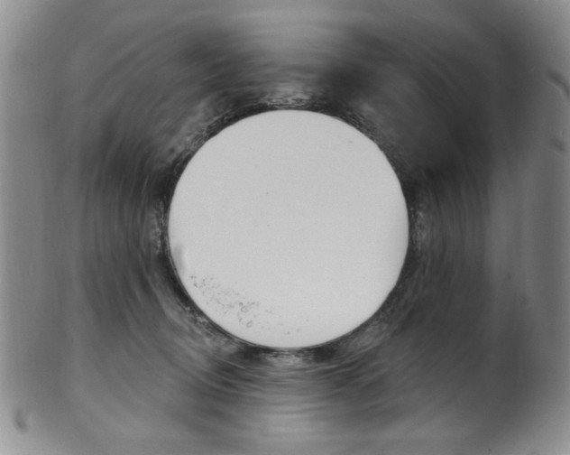 X0000101700370200807101542