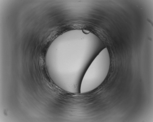 X0000101700371200807101542