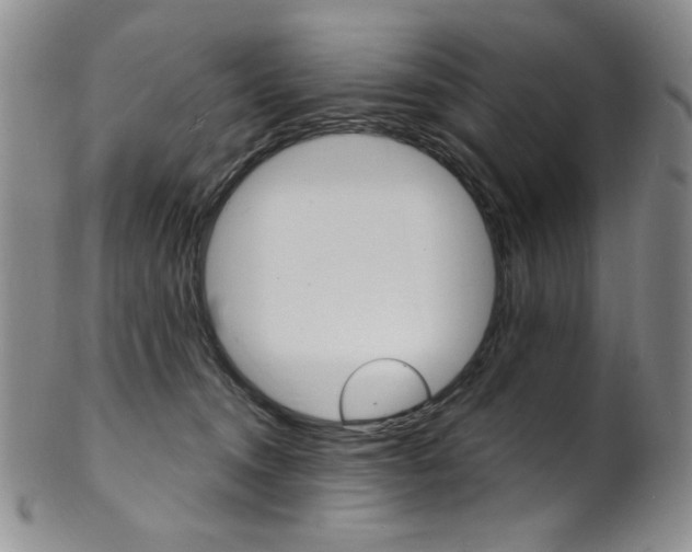 X0000101700372200807101542