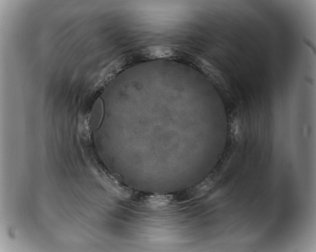 X0000101700373200807101542