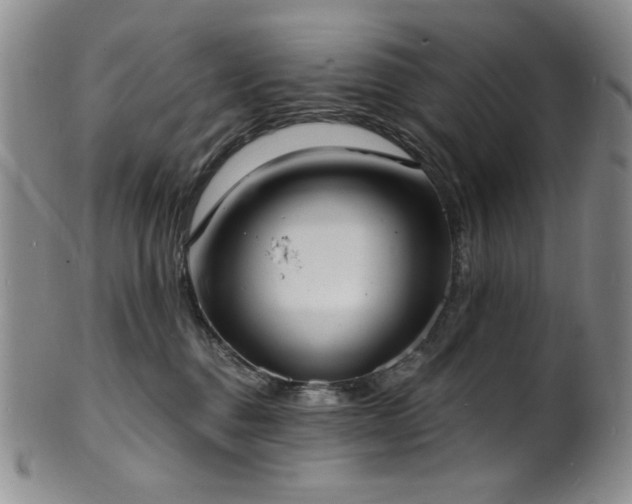 X0000101700376200807101542