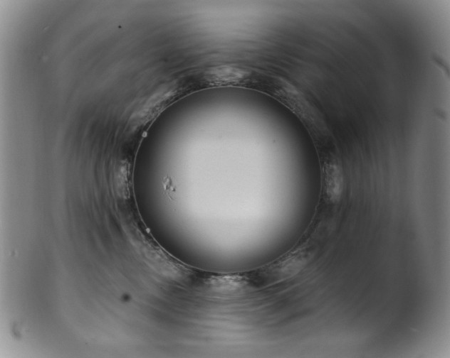 X0000101700378200807101542