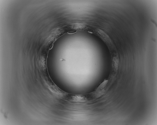 X0000101700380200807101542