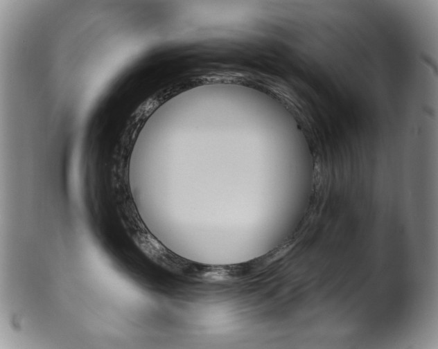 X0000101700381200807101542