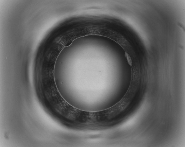 X0000101700383200807101542