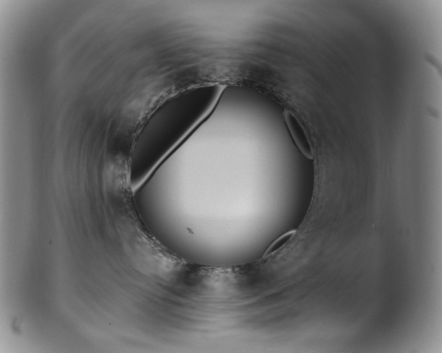 X0000101700384200807101542