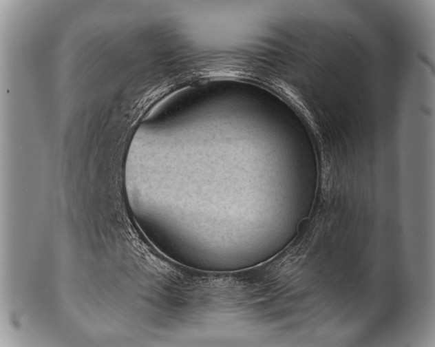 X0000101700385200807101542