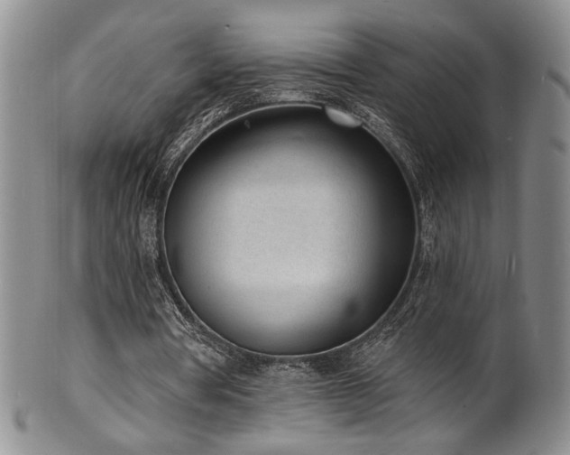 X0000101700386200807101542