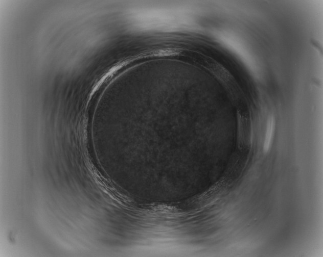 X0000101700387200807101542