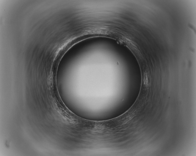 X0000101700388200807101542