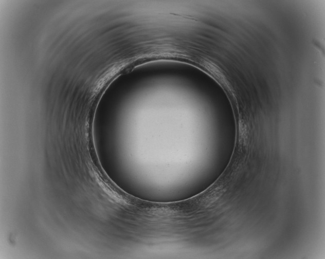 X0000101700389200807101542