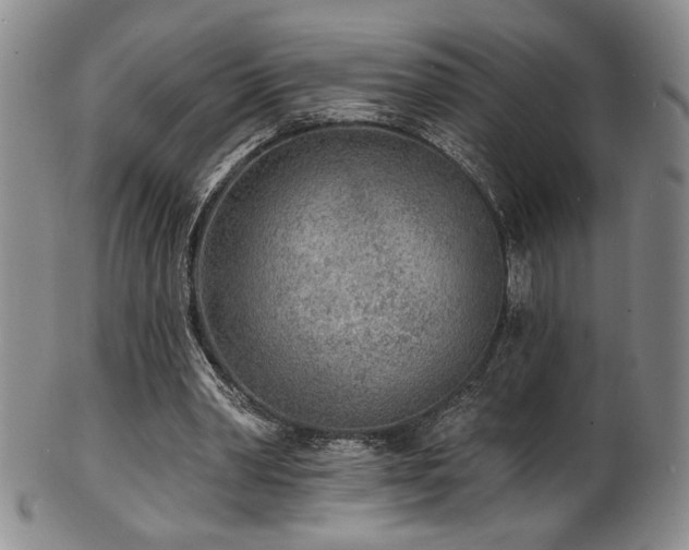 X0000101700390200807101542