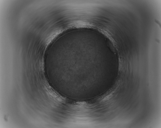 X0000101700391200807101542
