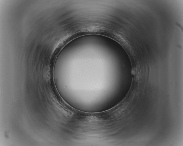 X0000101700392200807101542