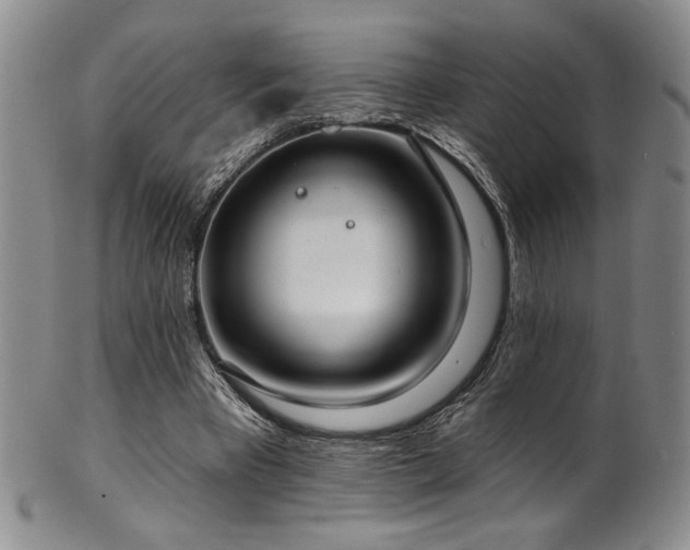 X0000101700393200807101542