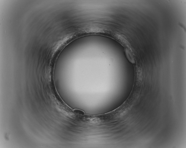 X0000101700395200807101542