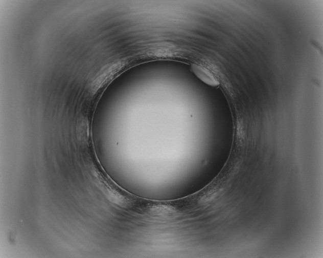 X0000101700397200807101542