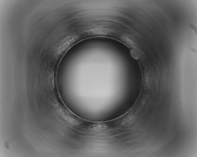 X0000101700398200807101541