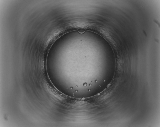 X0000101700399200807101541