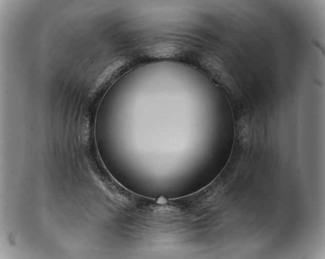 X0000101700400200807101541