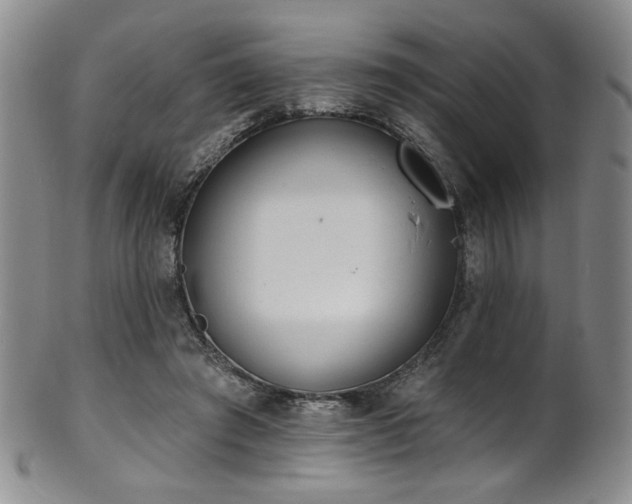 X0000101700401200807101541