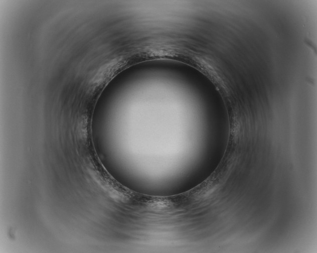 X0000101700402200807101541