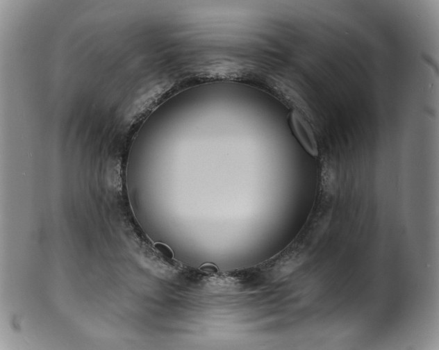 X0000101700403200807101541