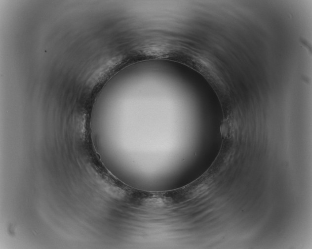 X0000101700404200807101541