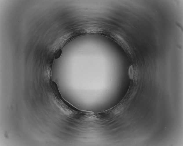 X0000101700405200807101541