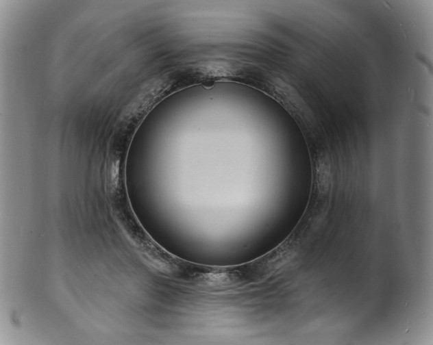 X0000101700406200807101541