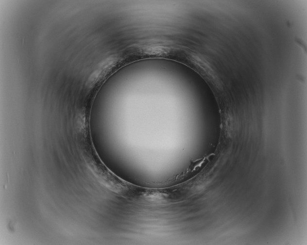 X0000101700407200807101541