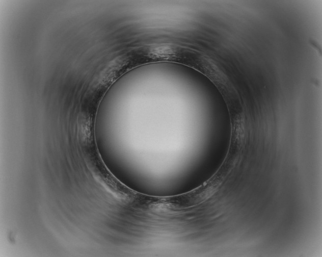 X0000101700408200807101541