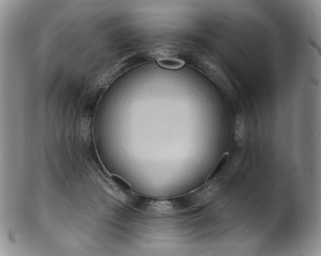 X0000101700409200807101541