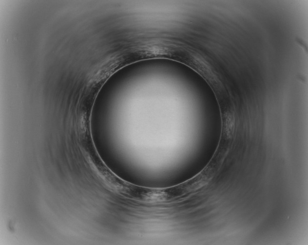 X0000101700410200807101541