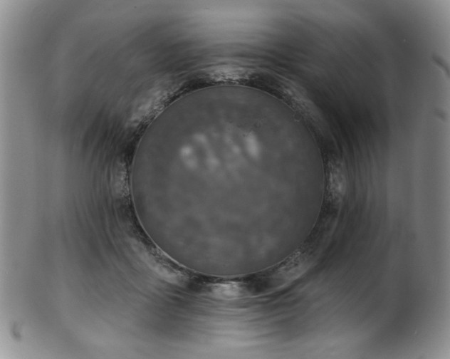 X0000101700411200807101541
