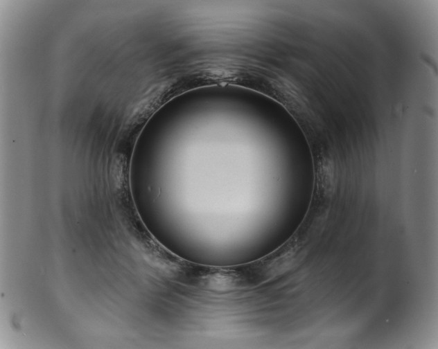 X0000101700412200807101541