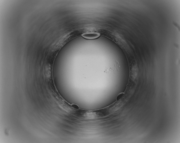X0000101700413200807101541