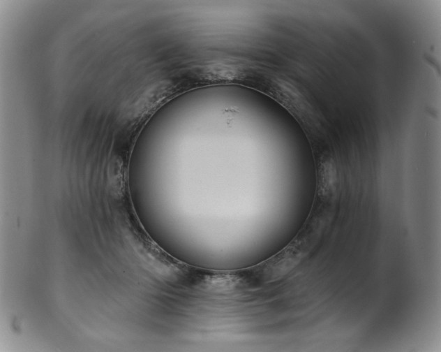 X0000101700414200807101541