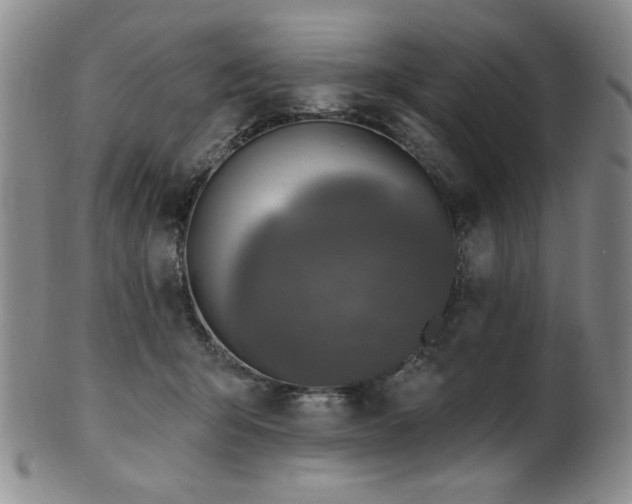 X0000101700415200807101541