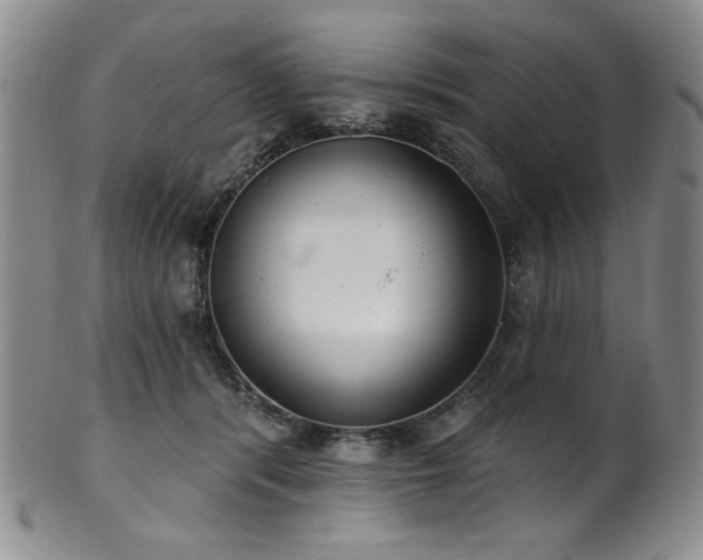 X0000101700416200807101541