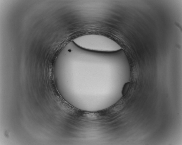 X0000101700417200807101541