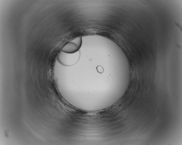 X0000101700418200807101541