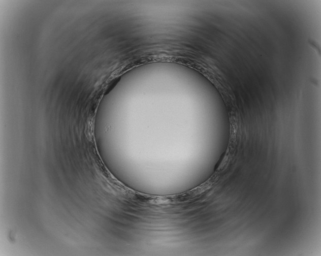 X0000101700419200807101541