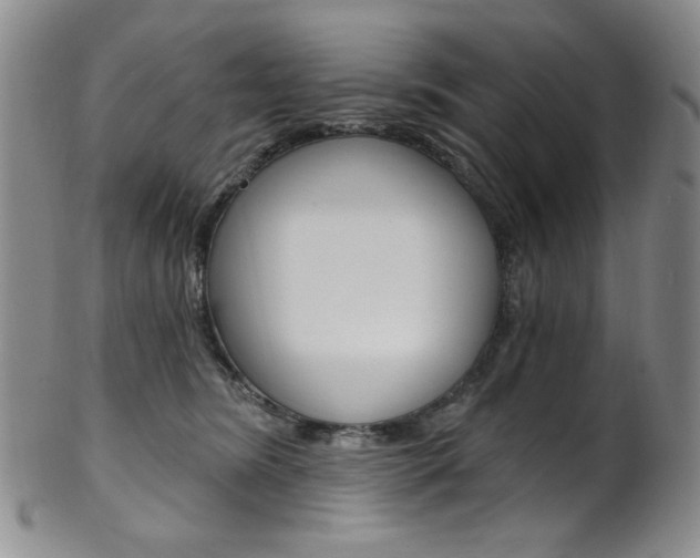 X0000101700420200807101541