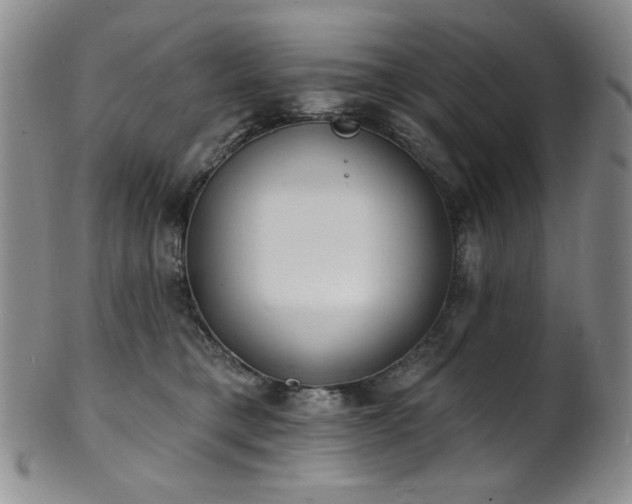 X0000101700421200807101541