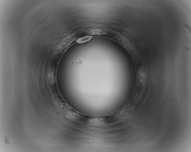 X0000101700422200807101541