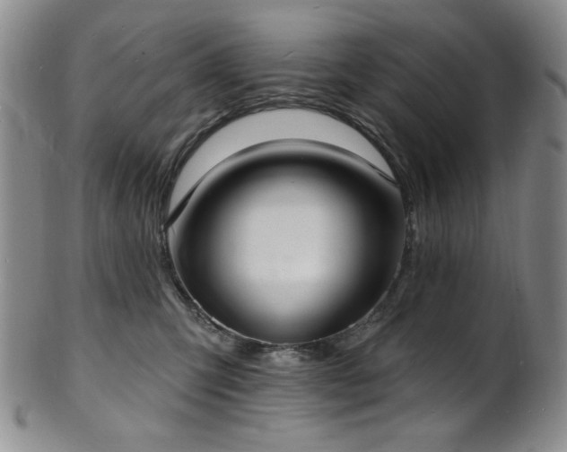 X0000101700423200807101541