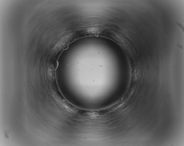 X0000101700424200807101541